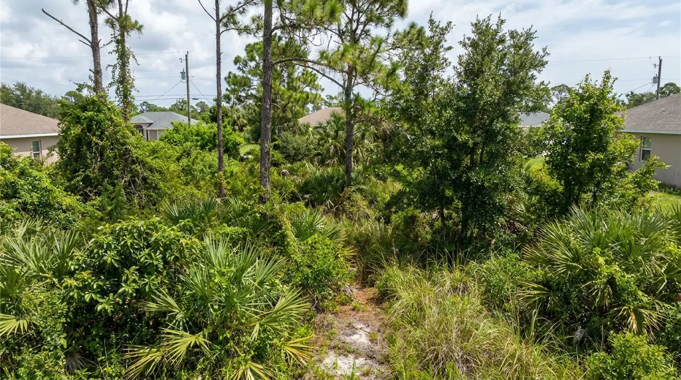 Overgrown Port St Lucie lot being cleared of brush and small trees